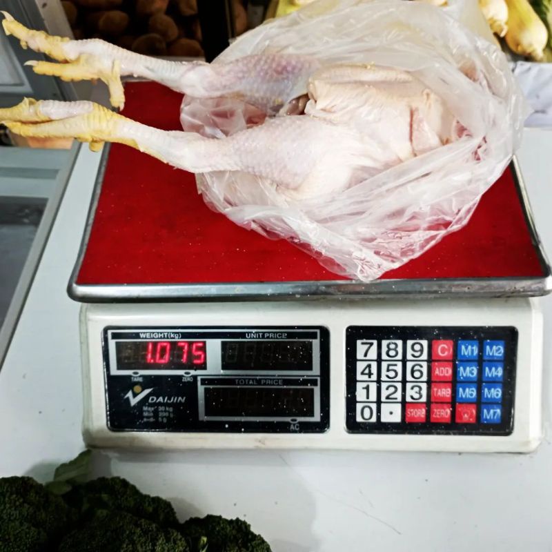 

Ayam Negri Boiler up to 1Kg (Fresh)