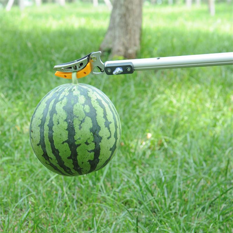 Mi.more Gunting Alat Pemetik Buah Pangkas Jangkauan Panjang 1m/2m, Pemangkas