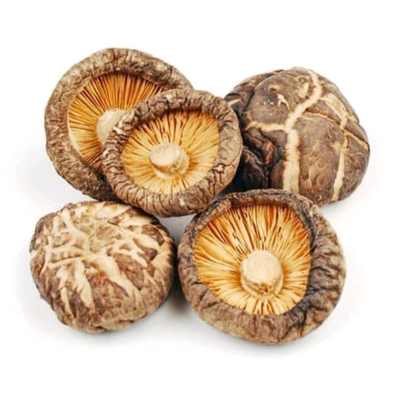 

Jamur Shitake Premium 100gram