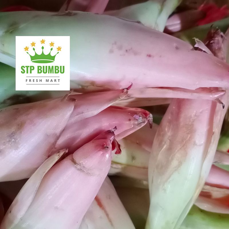 Bunga Kencong Fresh Segar 1kg / Rias / Kecombrang / Combrang / Kincung