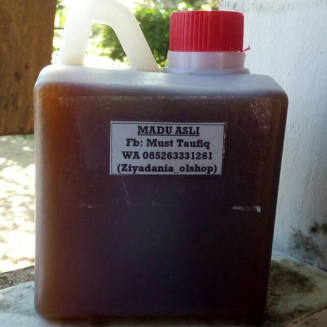 

MADU HUTAN ASLI DAN MURNI