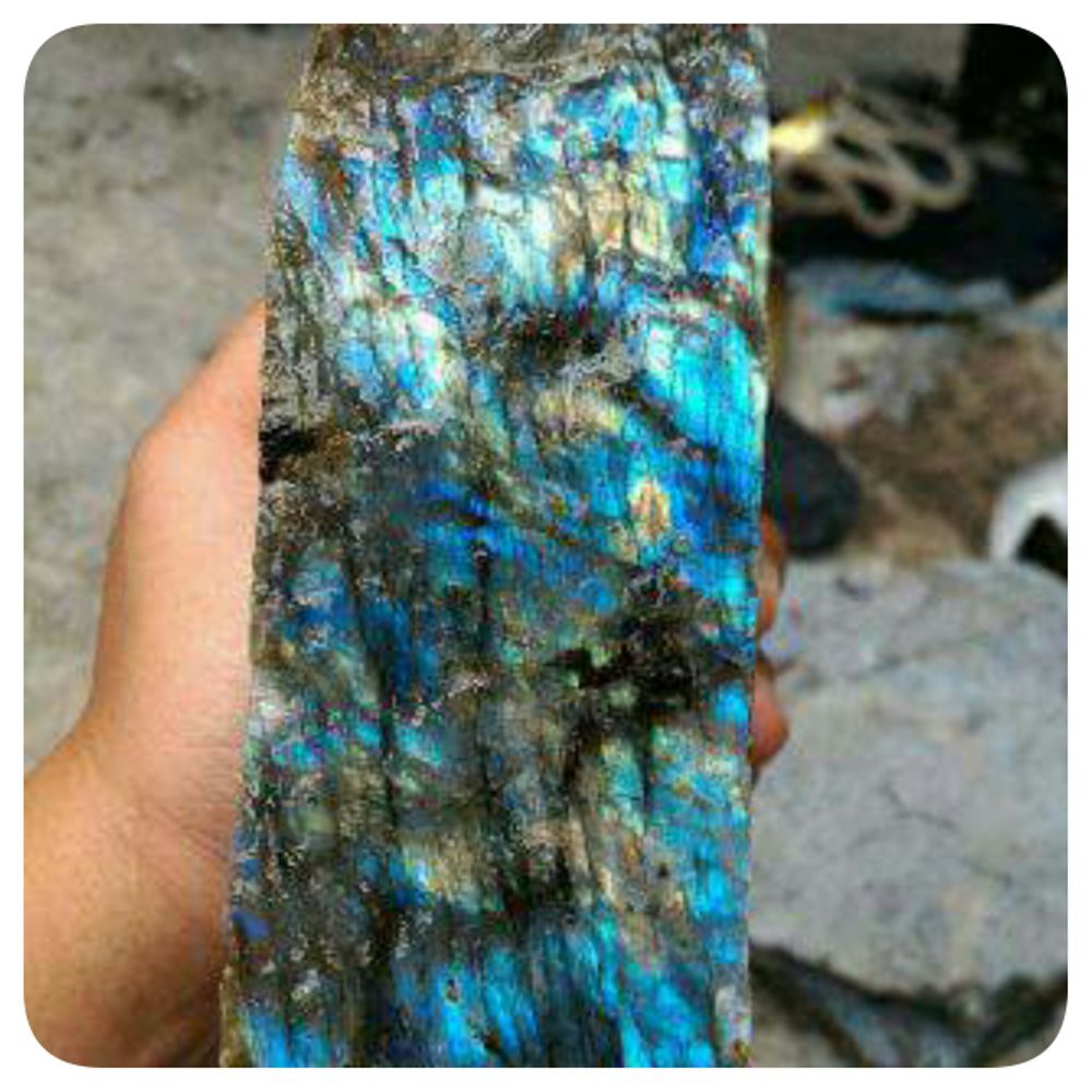 Bahan /Rough Labrador Pelangi / Rainbow 1kg