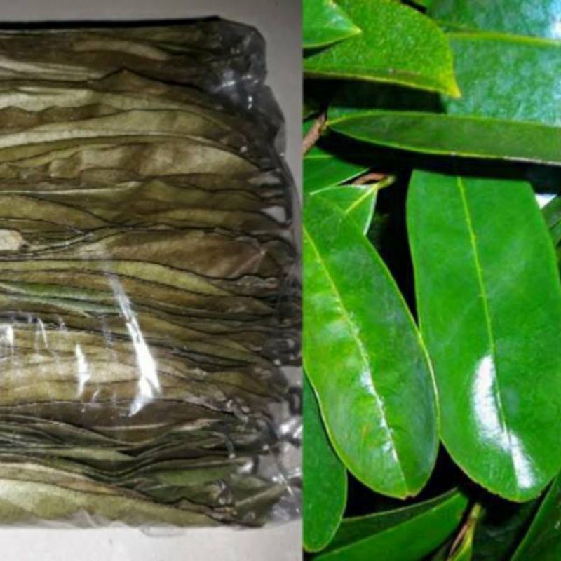 

Daun sirsak segar kering kemasan 200g ALFARM