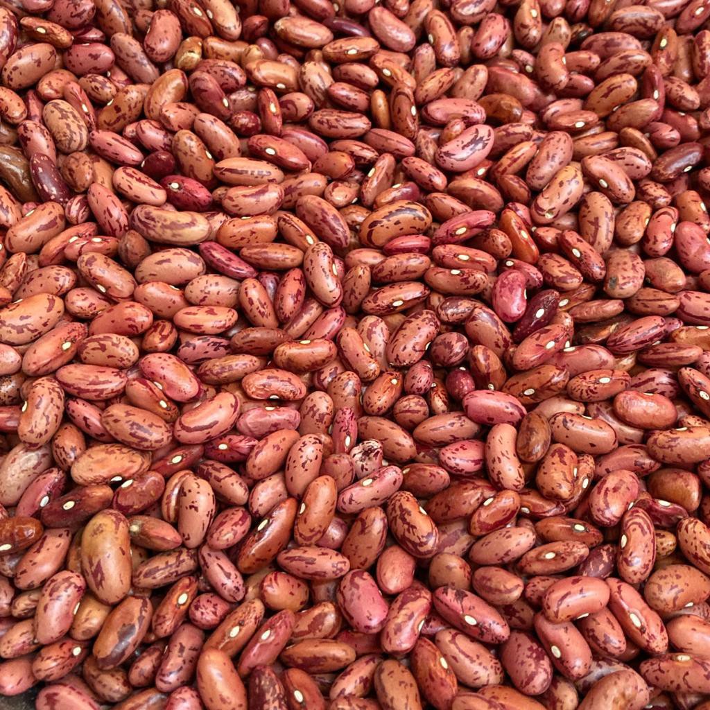 

KACANG MERAH (250 GRAM)