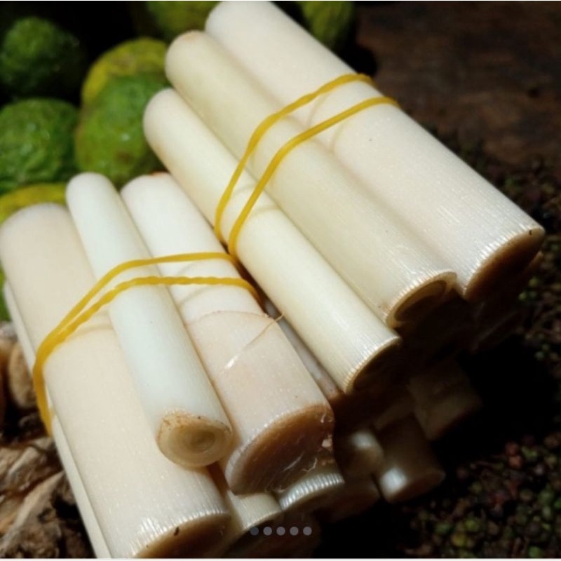 

Batang rias/kincung/kecombrang 500gram