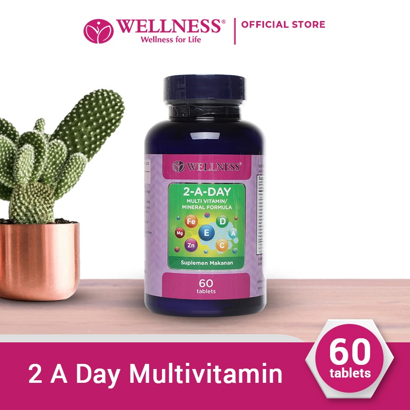 Wellness Multivitamin/Mineral 2-A-Day - 60 Tablets