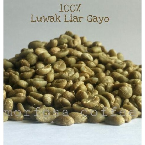 

Green Bean Kopi Luwak Liar Gayo 1kg Mentah