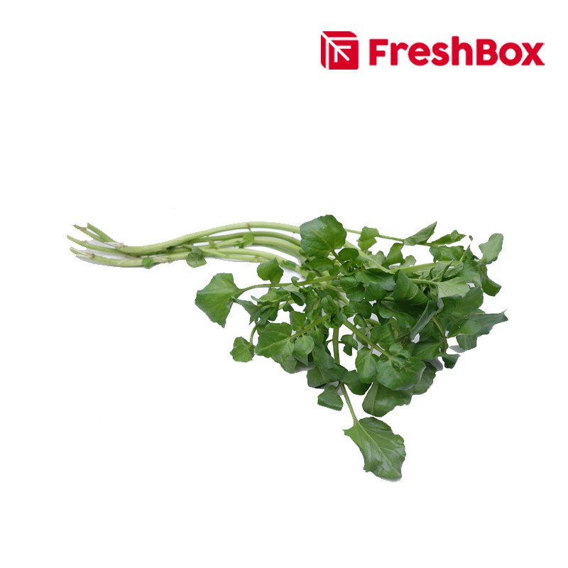 

Salada Air / Water Cress 500 Gr FreshBox