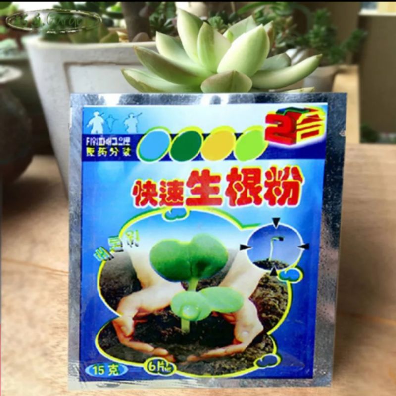 Root Powder Extra Import ZPT Perakaran 5 Gram