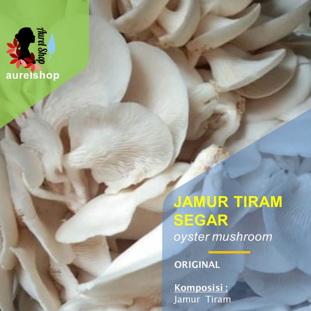 

Jamur Tiram Segar kemasan 1 kg