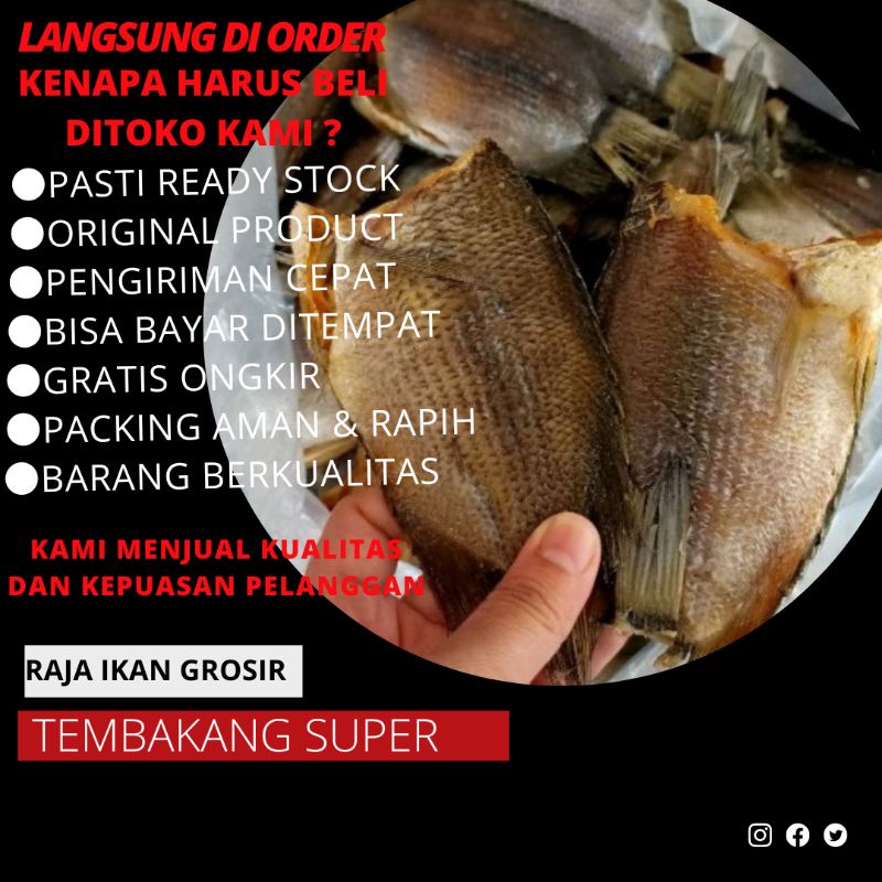 

TEMBAKANG ASIN MURAH BERKUALITAS 100 Gram