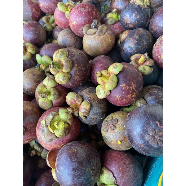 Buah Manggis 1kg