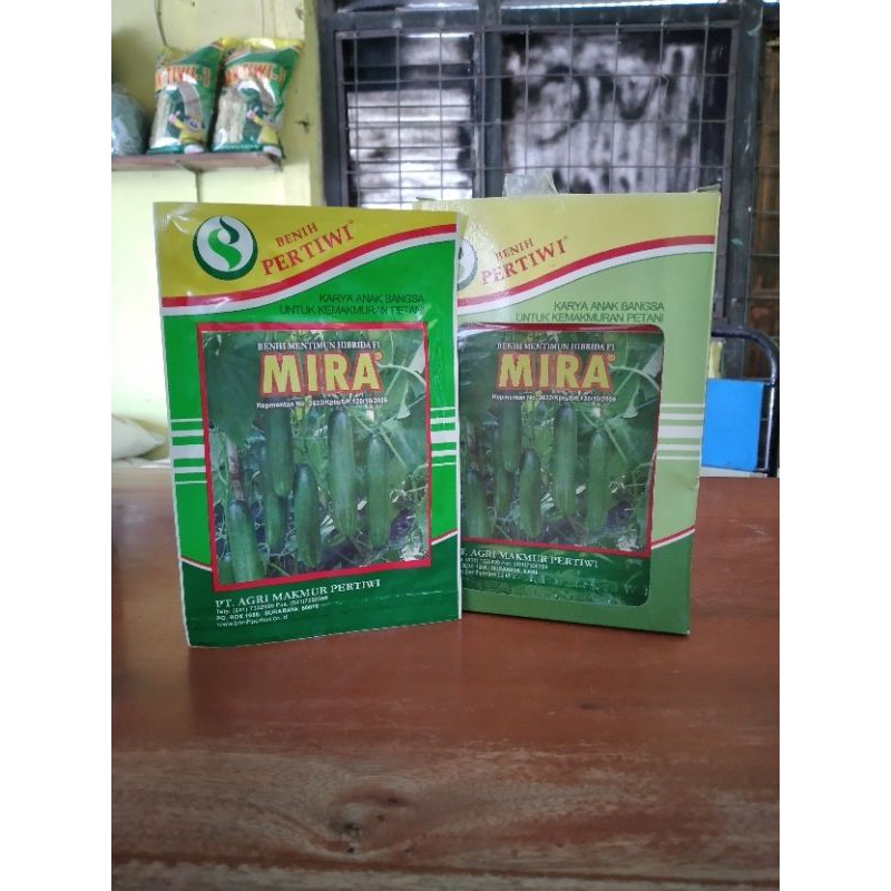 

TIMUN MIRA PERTIWI 10GRAM