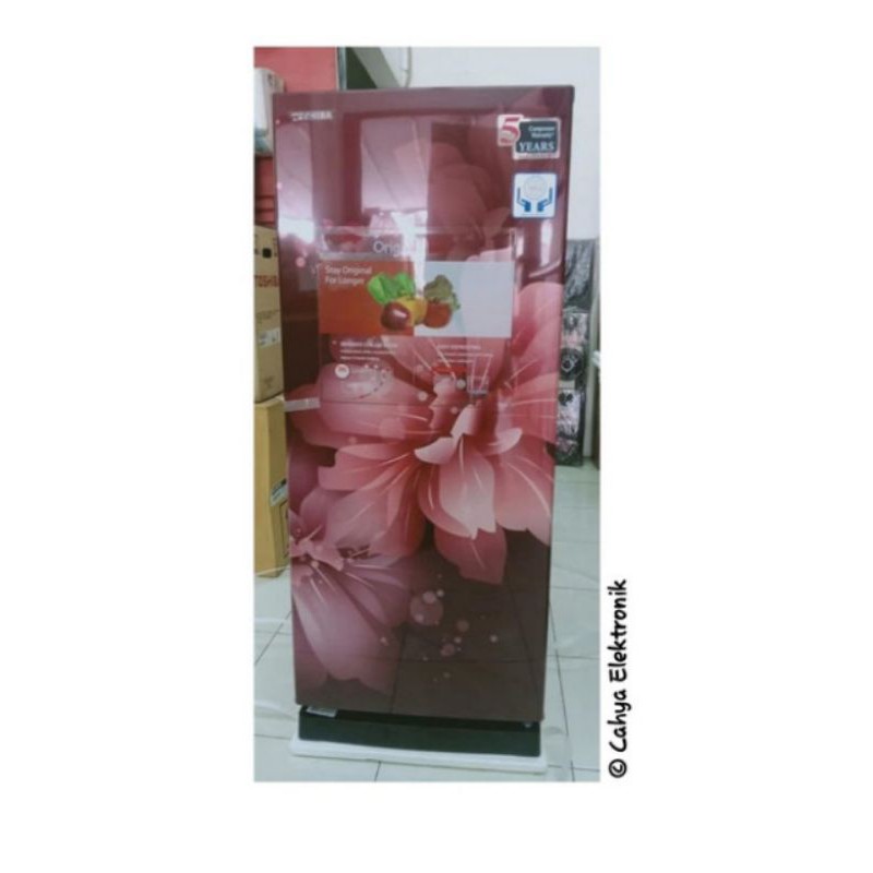 TOSHIBA KULKAS 1 PINTU GR- RD235CC DMF - 181 LITER