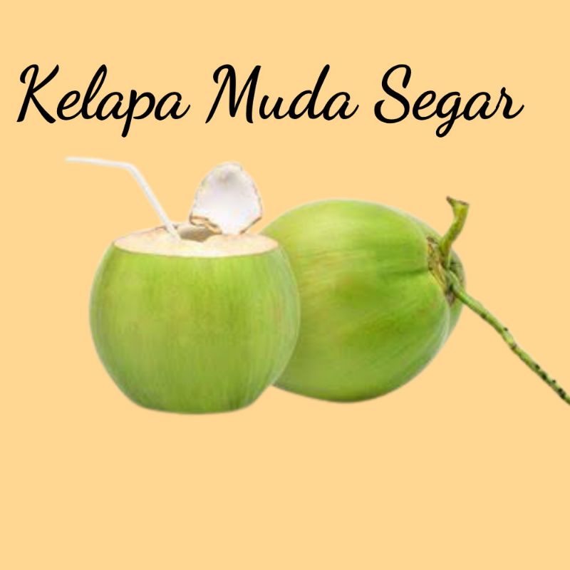 

Kelapa Muda Segar 1 Buah