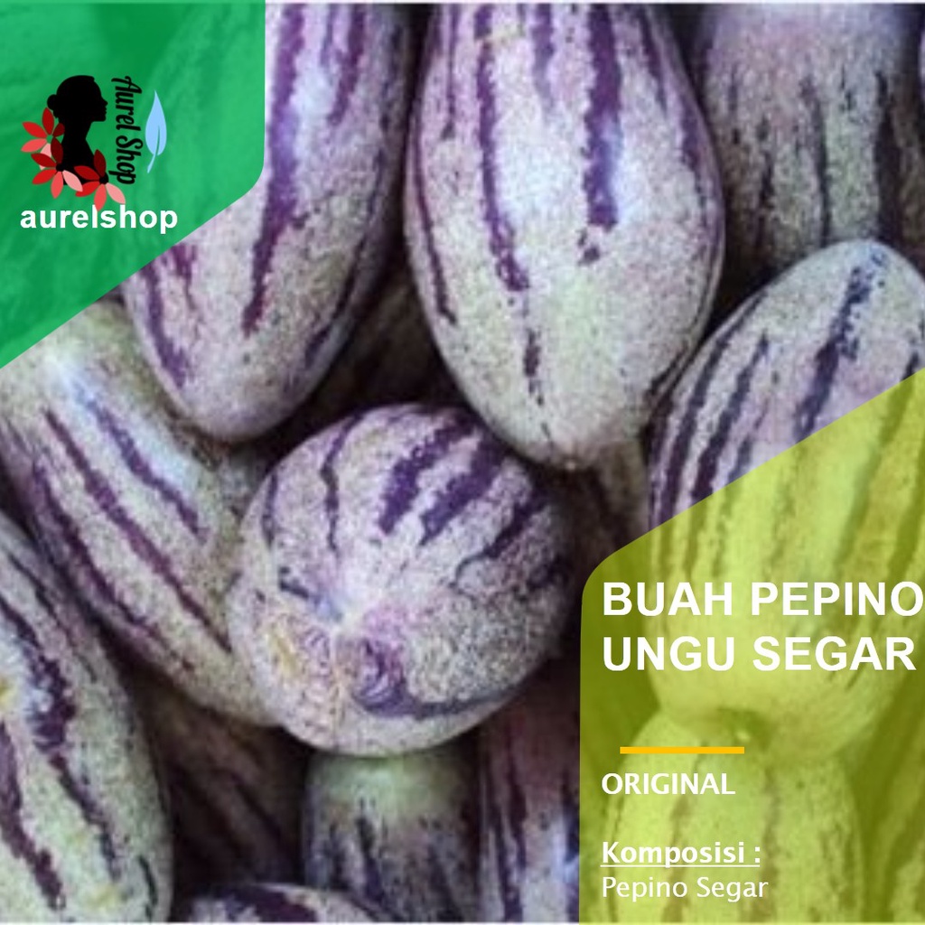 

Buah Pepino Ungu Segar 1 kg