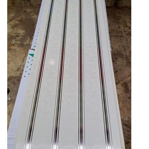 RDD.11Au22ᶻ– plafon pvc putih garis silver genius GN 2005