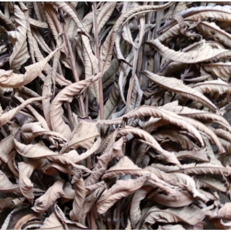 

DAUN SUNGKAI KERING 200 GRAM