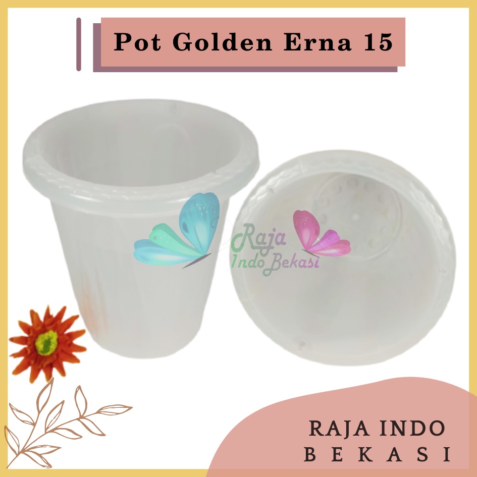 Rajaindobekasi Pot GE15 Golden Erna 15 Transparan Bening Garden Of Love Mirip Pot Yogap 10 13 15 Putih Coklat Merah Bata Bening Transparan Pot Yogap 17 18 19 Pot Yogap Murah Pot Bunga Tinggi Pirus Tegak Bagus Tebal