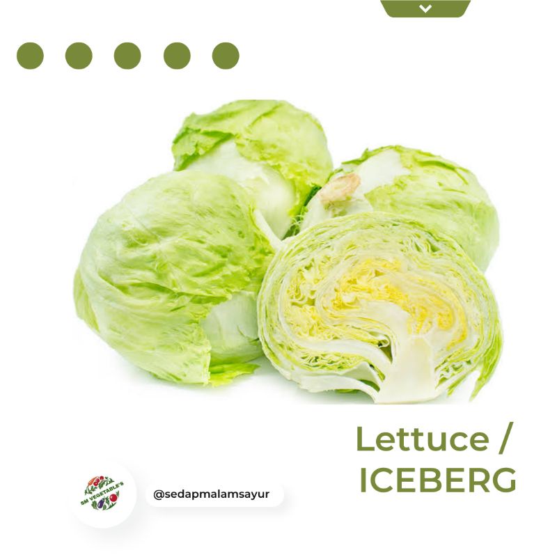 

LETTUCE/HEADLETTUCE/ICEBERG 500gr
