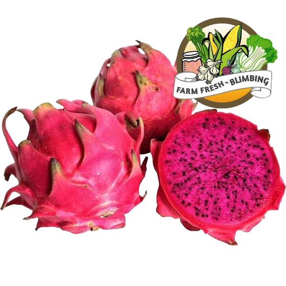 

Buah naga 800-1.2kg