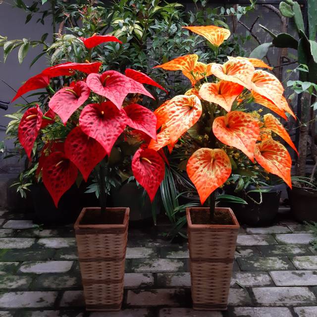 BUNGA ANTHURIUM ARTIFICIAL TANGKAI 24 B8016 BUNGA PLASTIK DEKORASI RUMAH