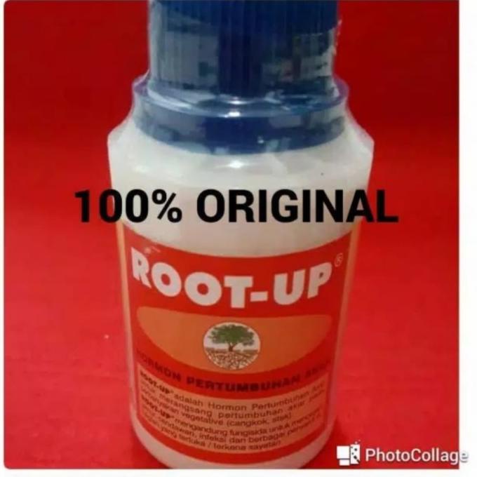 ZPT/perangsangg akar/obat cangkok dan stek/Root up