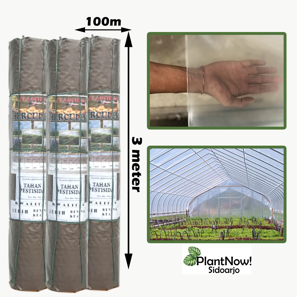 Plastik UV HERCULES 14% lebar 3 meter ketebalan 200 micron - Per meter