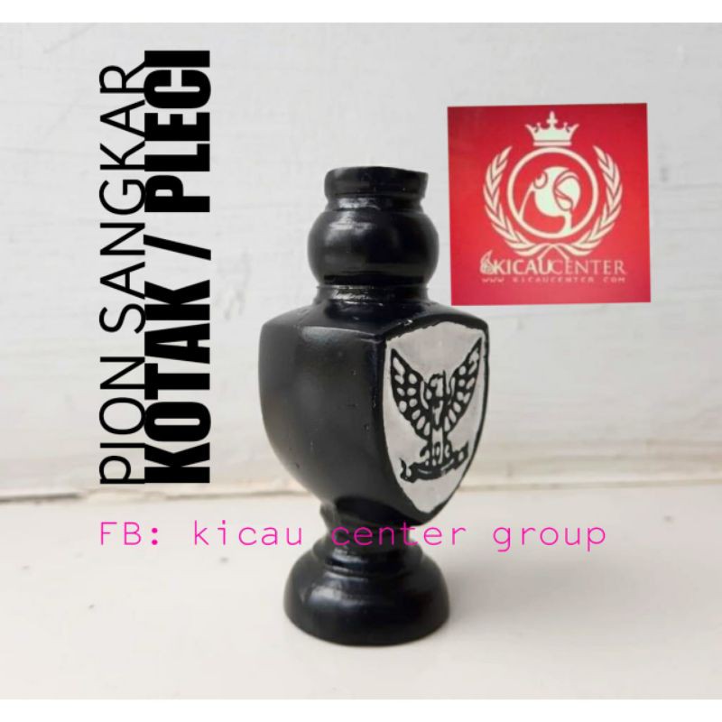 PION SANGKAR KOTAK DAN PLECI