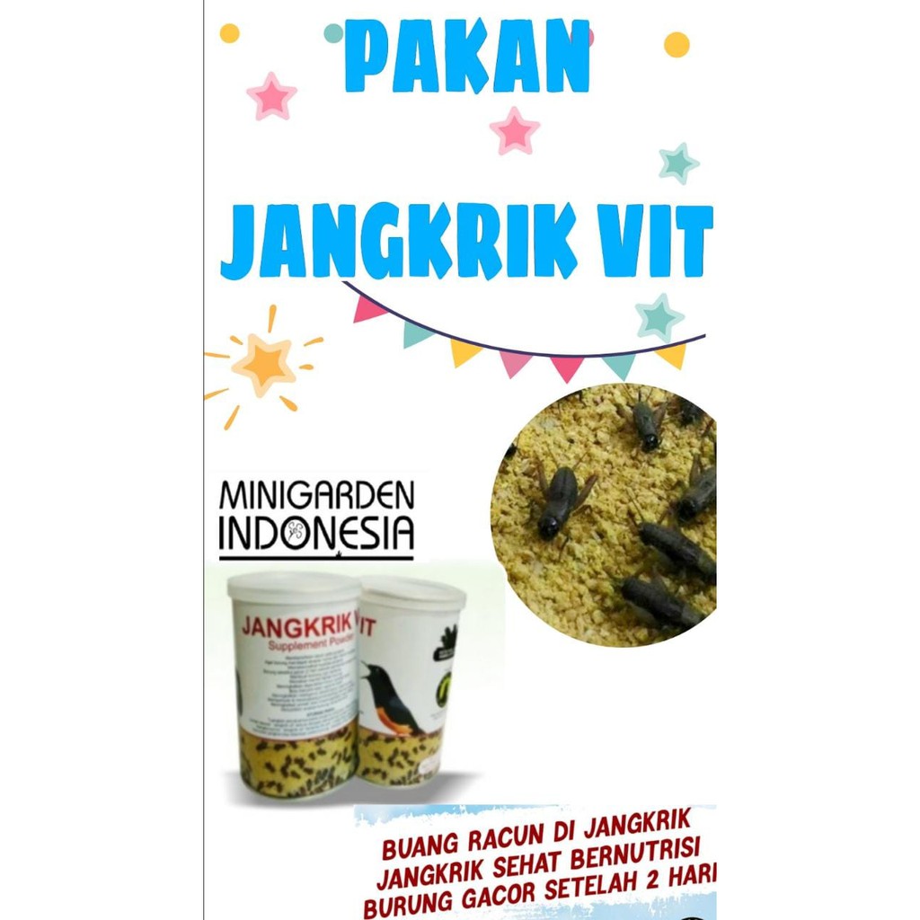 PAKAN  KHUSUS JANGKRIK VIT makanan ternak nutrisi khusus jangkrik untuk burung murai kacer cucak