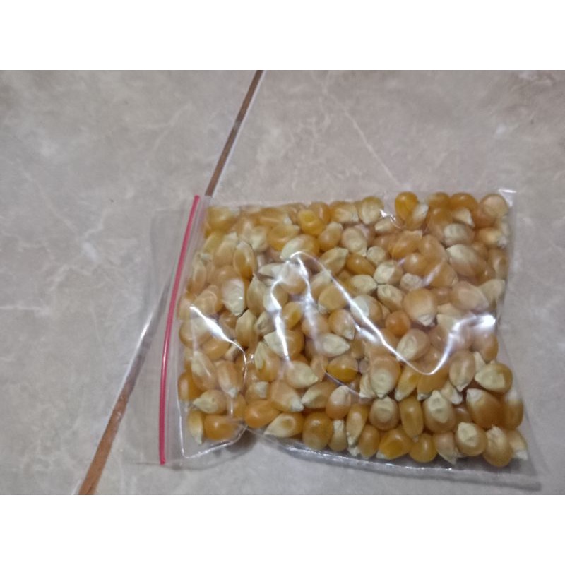 [Per 50 gram] Biji kolase-BAHAN KERAJINAN ALAMI/ KOLASE BIJI BIJIAN/PRAKARYA