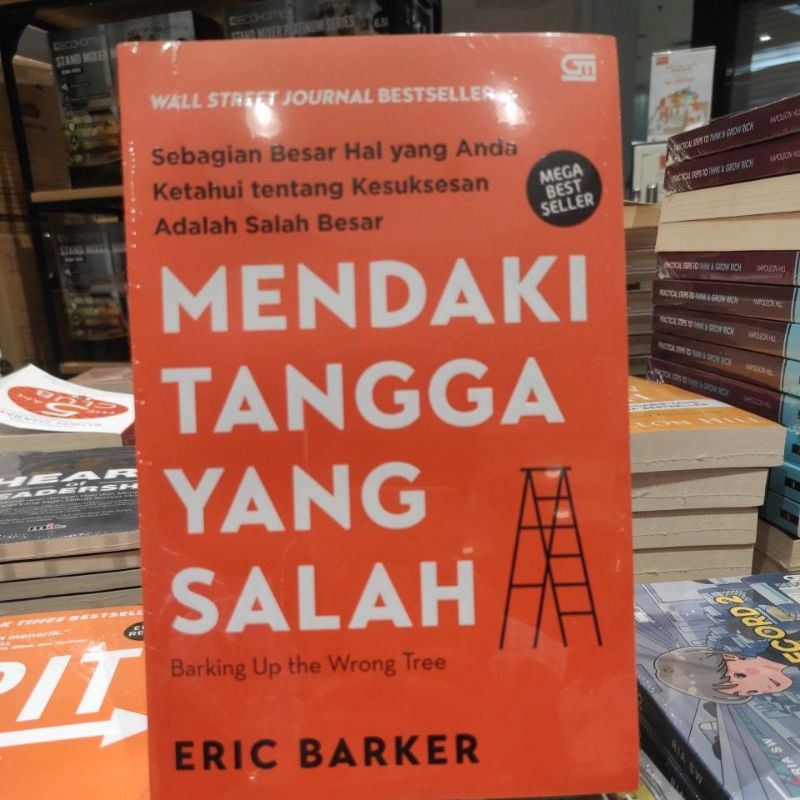 MENDAKI TANGGA YANG SALAH