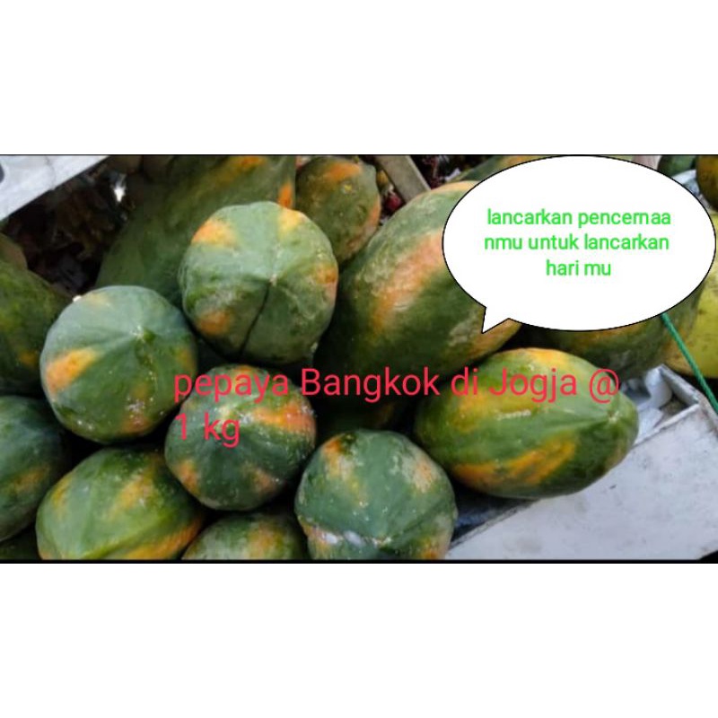 

pepaya Bangkok 1 kg