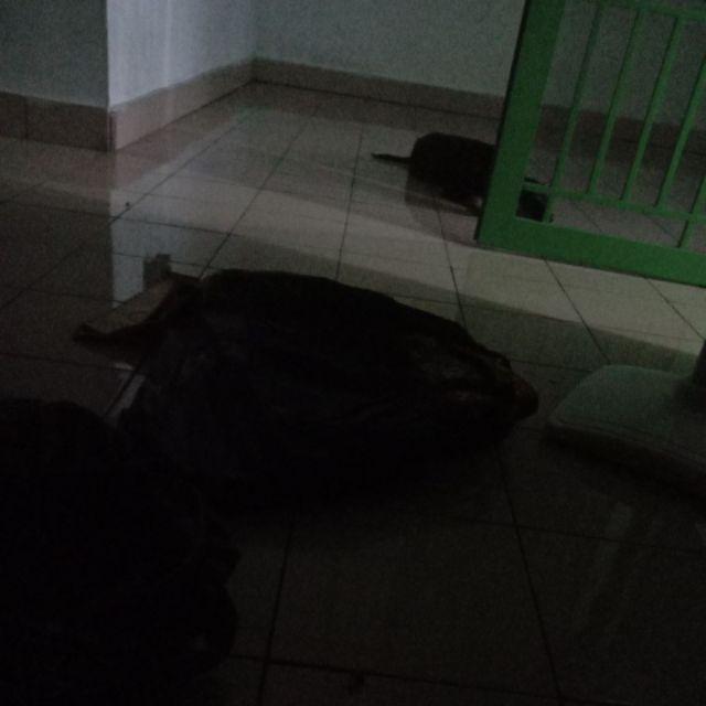 Maura Couple - Sania Ruffle Batik Couple Ori Ndoro Jowi Dnt Garansi Termurah Shopee