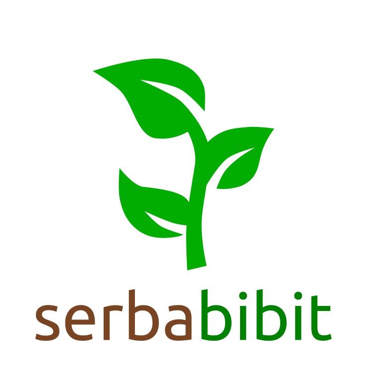 Keren Tanaman  Hias  Daun Perak Bunga Hias 