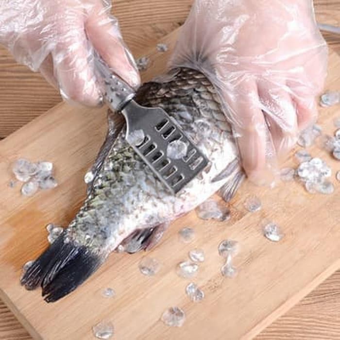 HARGA TERLARIS!!! Alat Pembersih Pengupas Sisik Ikan Stainless / Peeler Sisik Ikan Multifungsi