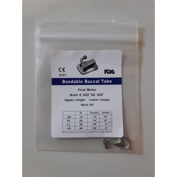 MOLLAR BUCCAL TUBE ISI 4 BIJI