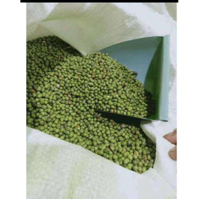 

kacang hijau 250gr kacang ijo murah