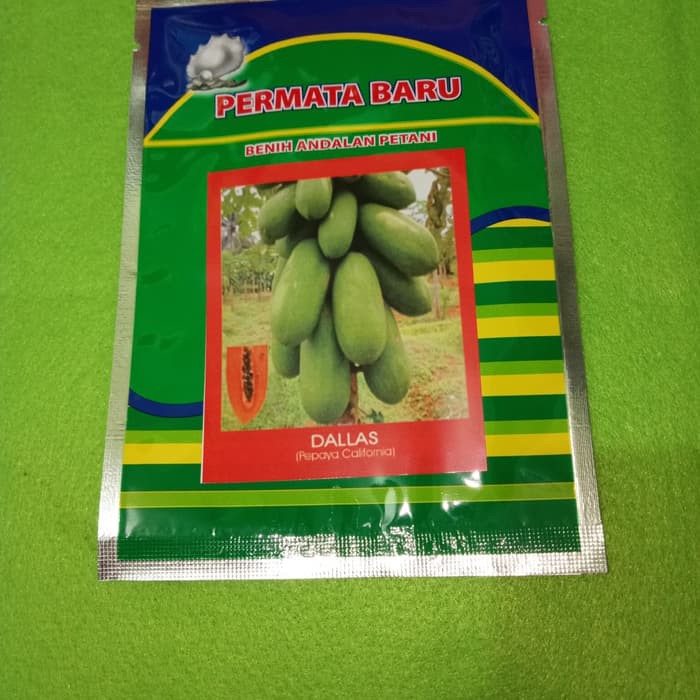 

Unik Benih Pepaya California DALLAS, 1 gr (60 seeds) Limited