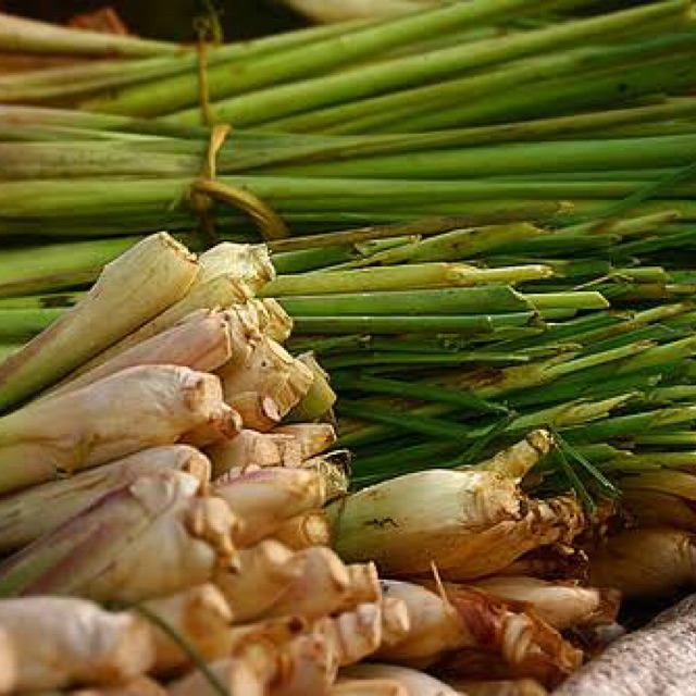

Sereh/Serai (Lemongrass) 250 gram - sayur curah