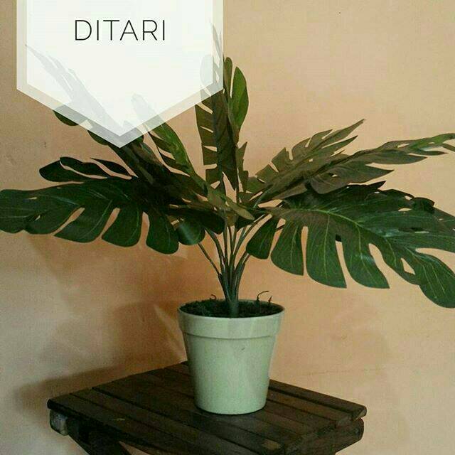 DAUN MONSTERA RAMBAT BUNGA PLASTIK ARTIFICIAL ARTIFISIAL PALSU DEKORASI HOMEDECOR SHABBY