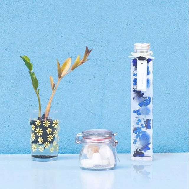 

Herbarium Dried Flower Scented Oil Japan Bunga Kering Jepang