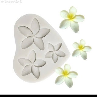 Cetakan Silikon Puding Coklat bunga kamboja jepun