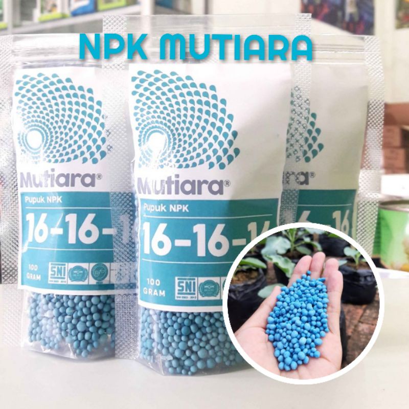 PUPUK PERANGSANG BUNGA / BOOSTER PELEBAT BUAH MPK Mutiara 16
