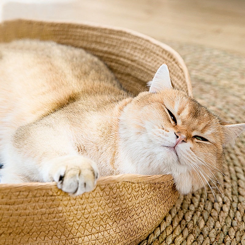 Aesthetic aoki anyam bed