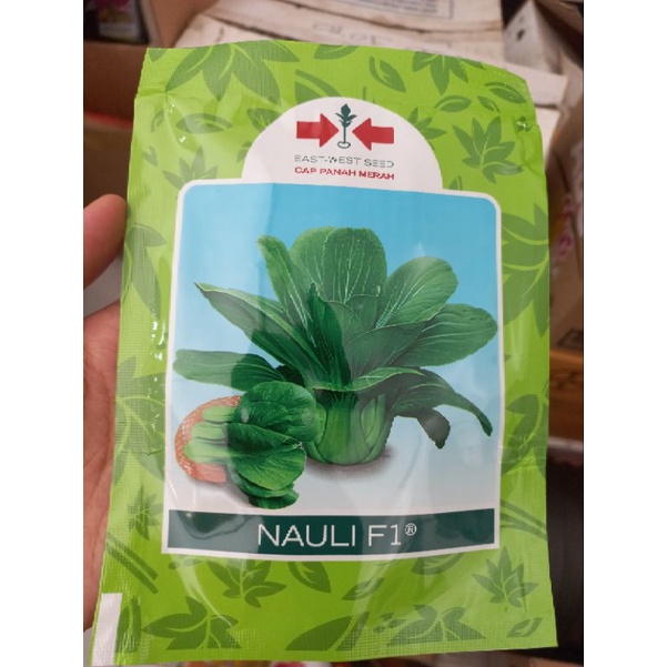 

Pakcoy Nauli F1