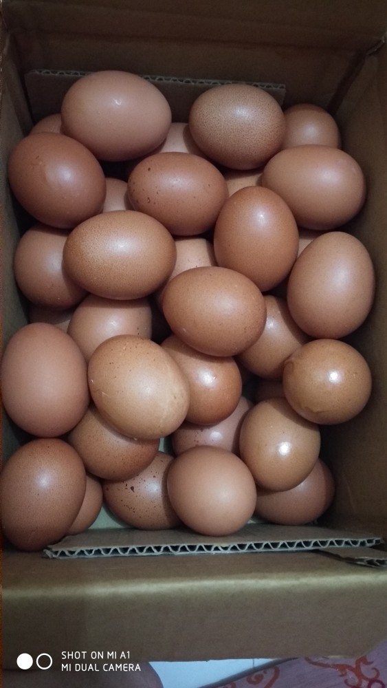 Sendok Makan Rp. 7800/lsn