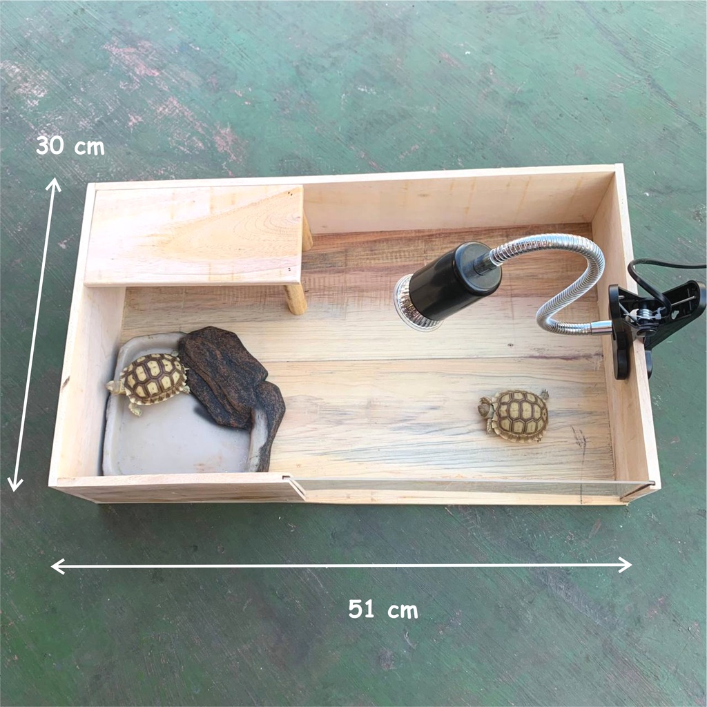 Kandang Kura-Kura Sulcata Kandang Tortoise Kura Kura Darat