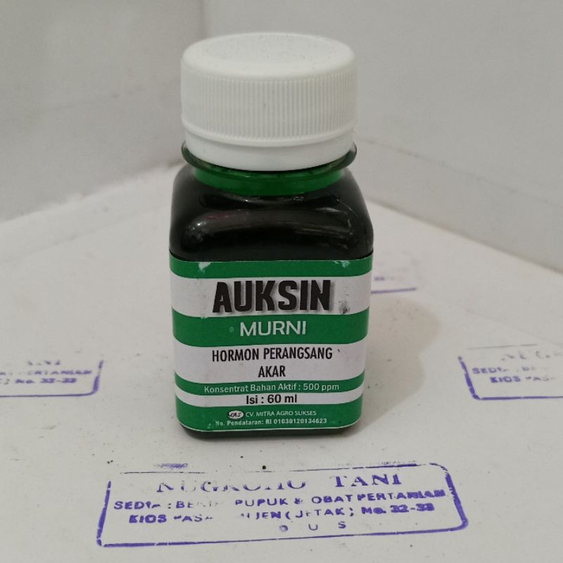 AUKSIN MURNI HORMON PERANGSANG AKAR 60 ML