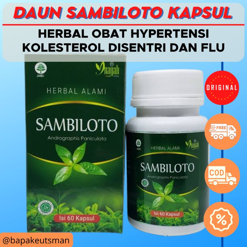 SAMBILOTO KAPSUL [INAYAH] – HERBAL OBAT FLU HYPERTENSI MENURUNKAN KOLESTEROL